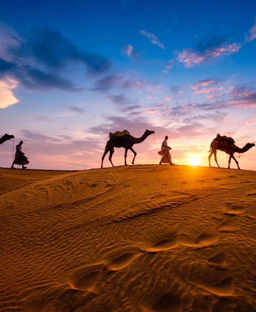 SATGURU TRAVELS Domestic Tour